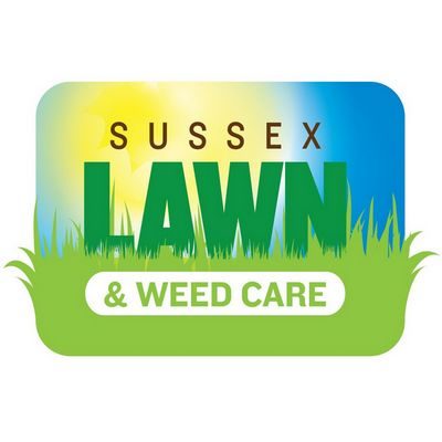 local logo design company